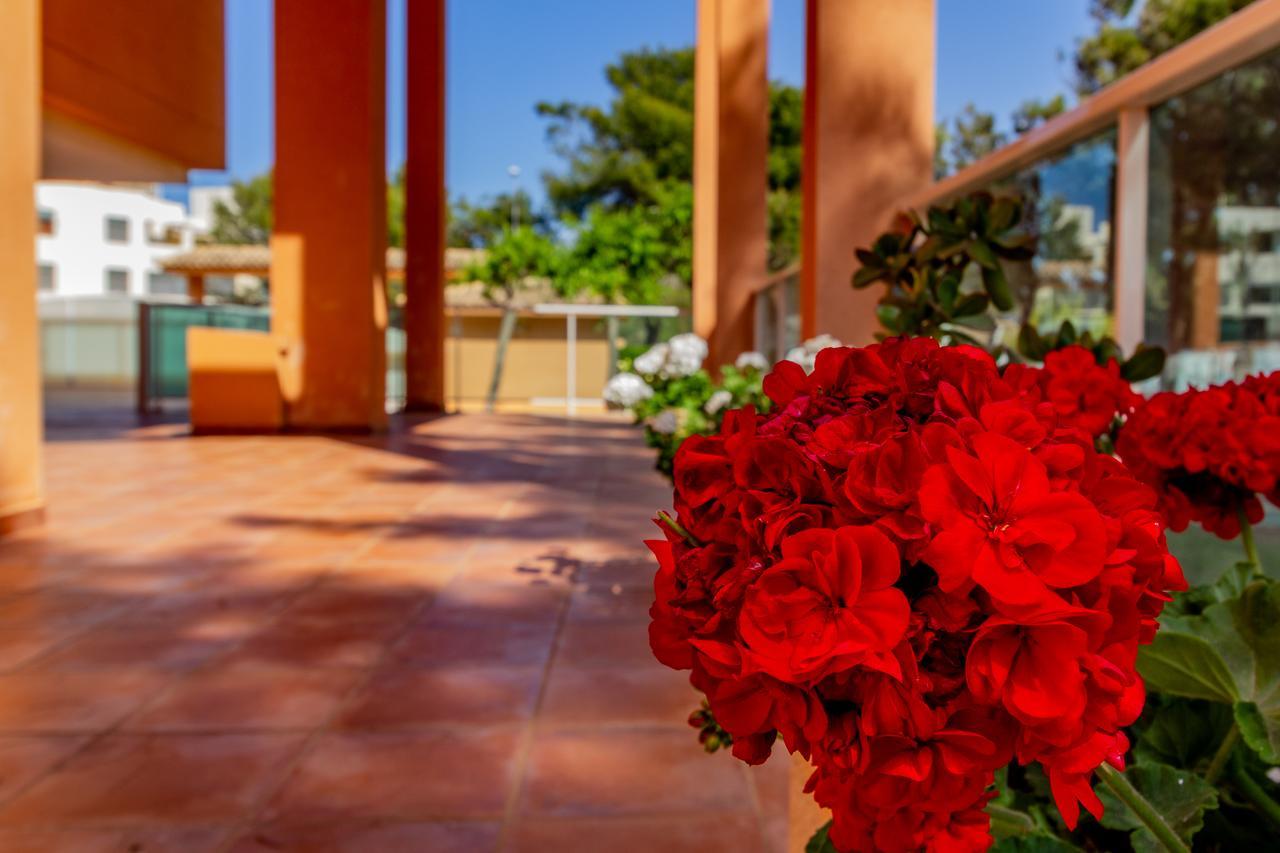 Realrent Mirador Al Mar Appartement Dénia Buitenkant foto